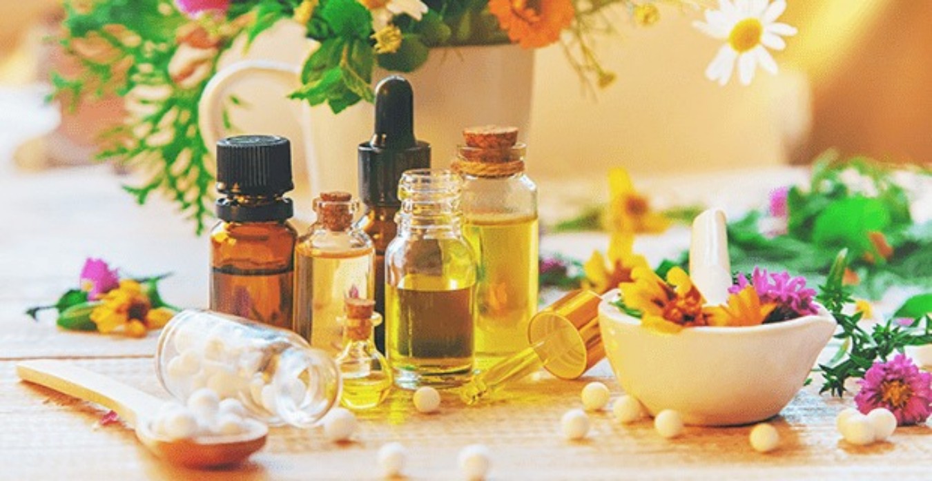 Anvisa aprova novo marco para medicamentos fitoterápicos no Brasil