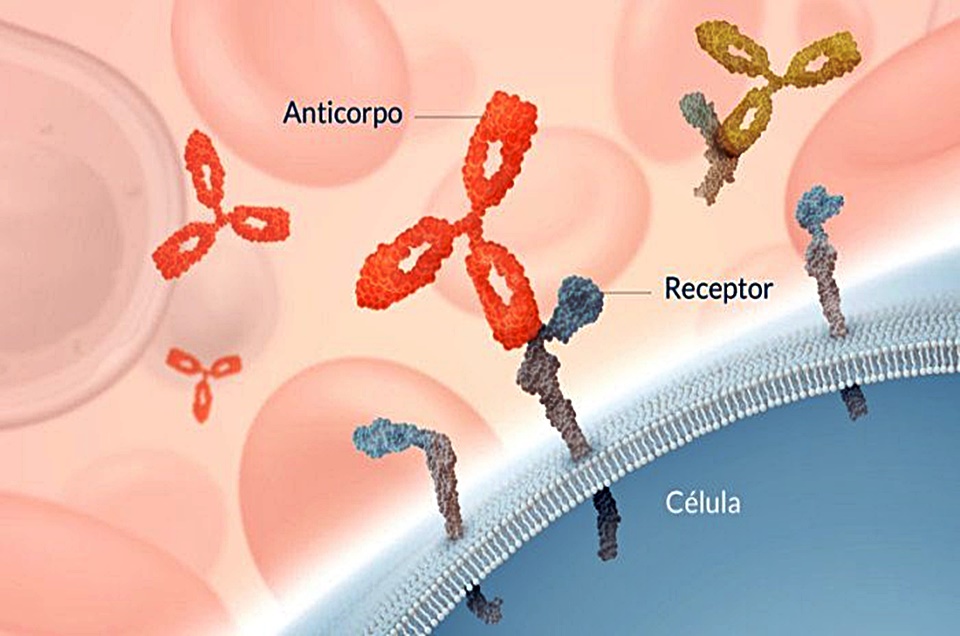 Biofármacos estima faturamento de R$ 600 milhões em 2020