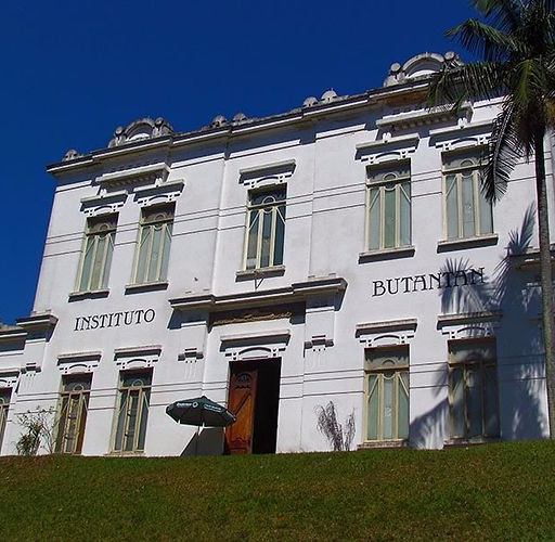 Butantan testa imunizante nacional contra gripe aviária em três estados brasileiros