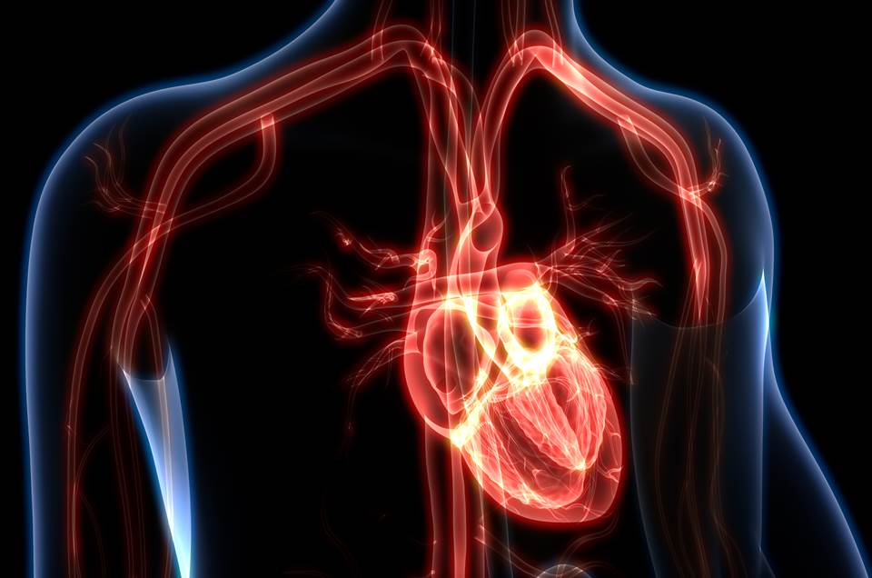 COVID-19 gera inflamação no coração e pode causar infarto