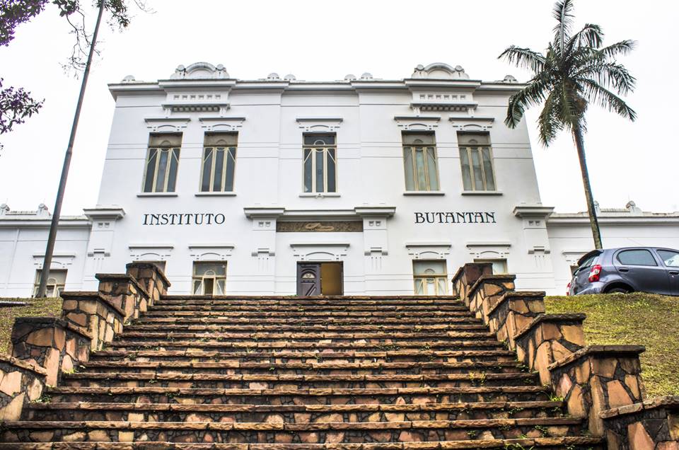 Covid-19: Instituto Butantan poderá ter vacina até o final de 2020 