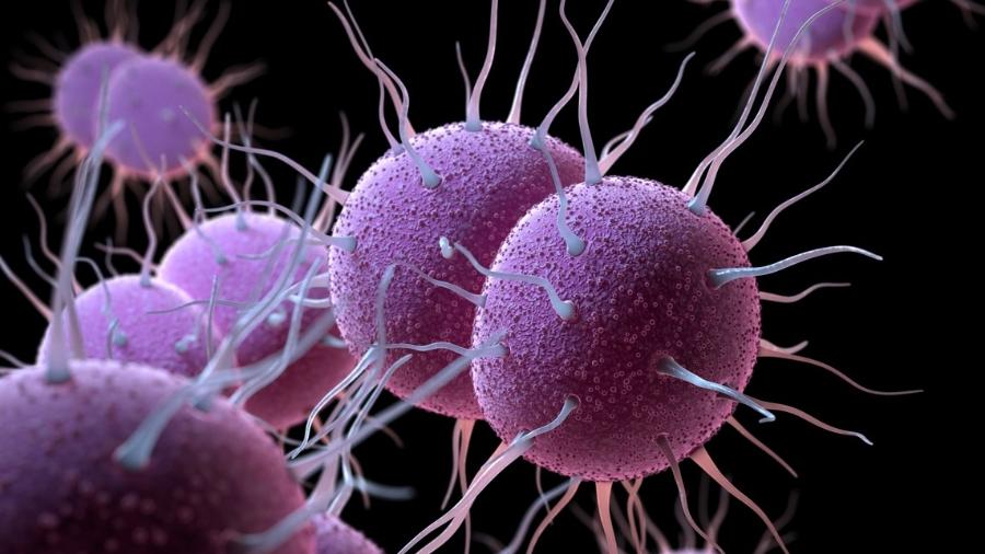 FDA aprova novas opções contra avanço da gonorreia resistente