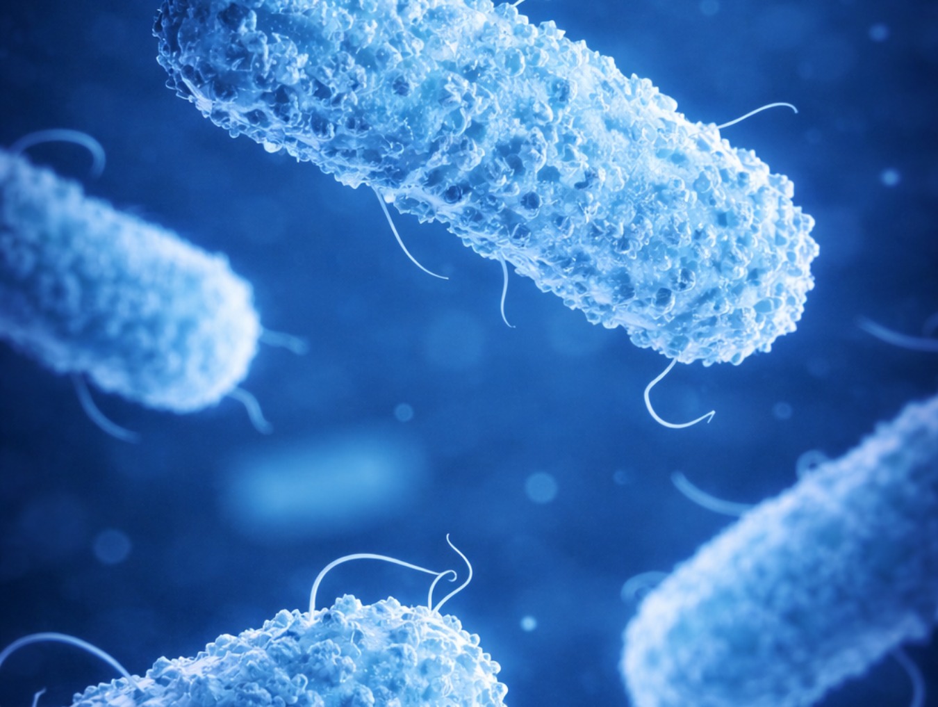 Hidrogel brasileiro mostra ação contra superbactérias e aponta novos caminhos para controle de infecções hospitalares