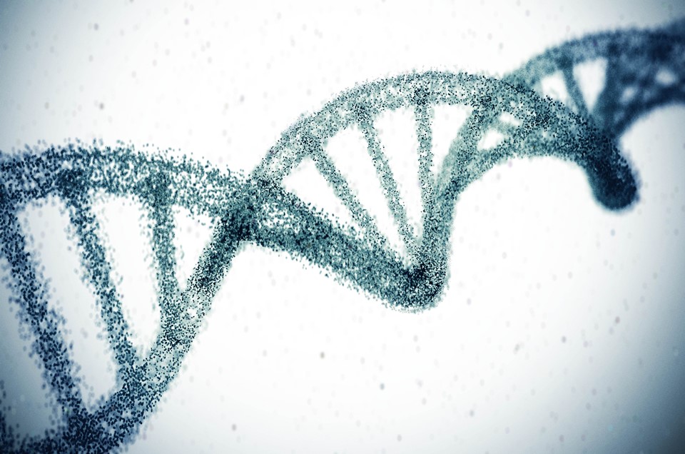 Medicamento que altera código genético custará R$ 20 milhões 