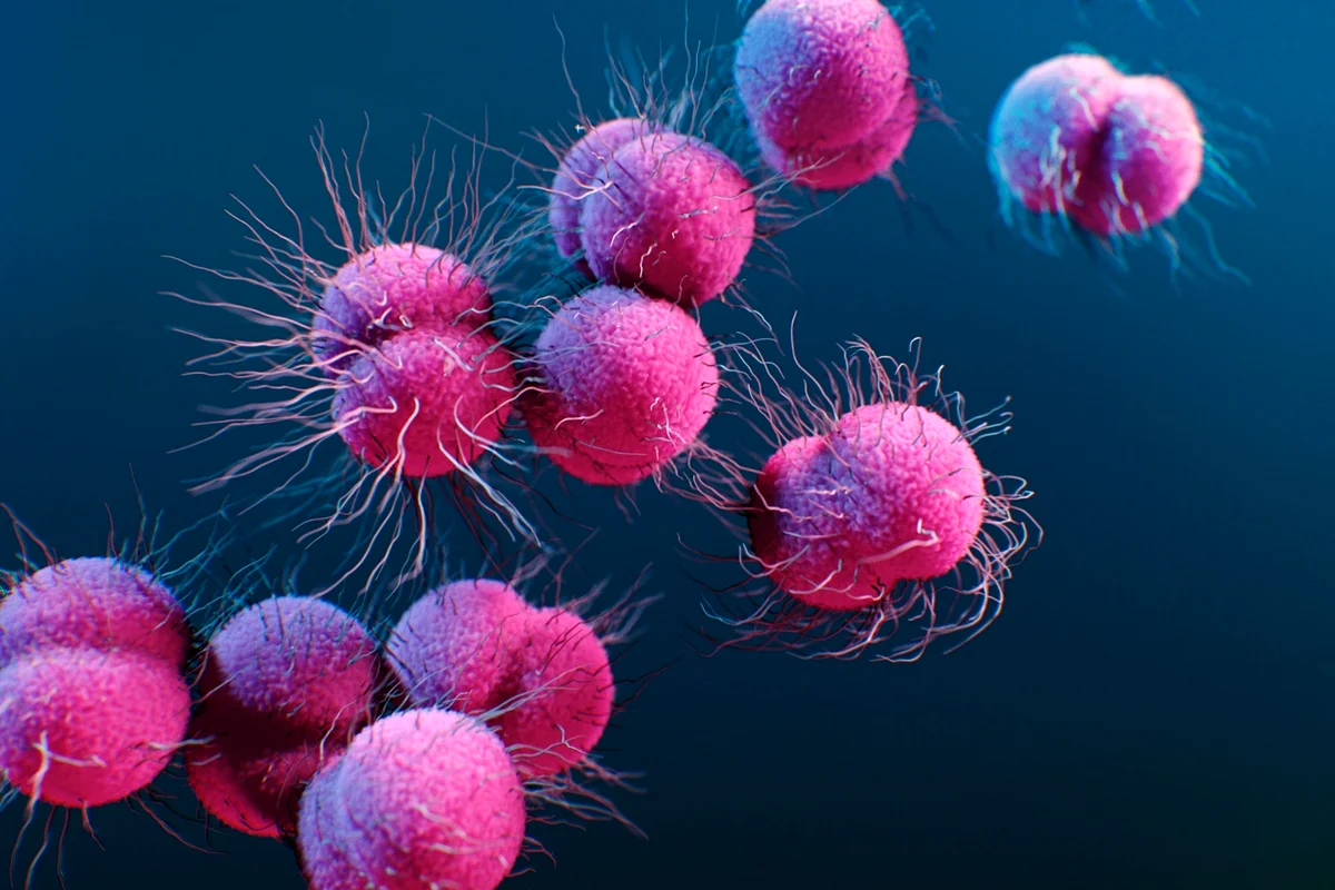 OMS vê aumento preocupante da gonorreia resistente a antibióticos