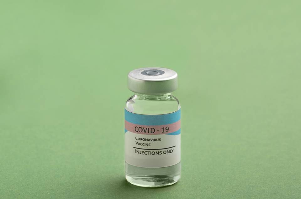 Soro anticoronavírus: para diretor do Butantan, demora na aprovação ocorre por insegurança da Anvisa