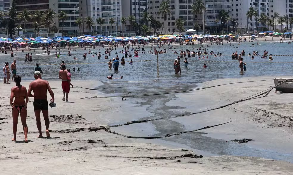 Surto de virose no litoral paulista reforça importância do farmacêutico clínico