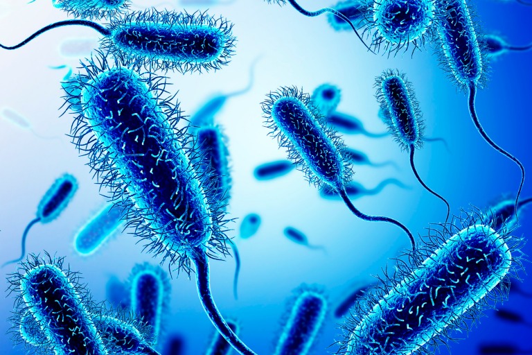 Após 50 anos, nova classe de antibióticos capaz de matar bactérias multirresistentes a drogas é descoberta.