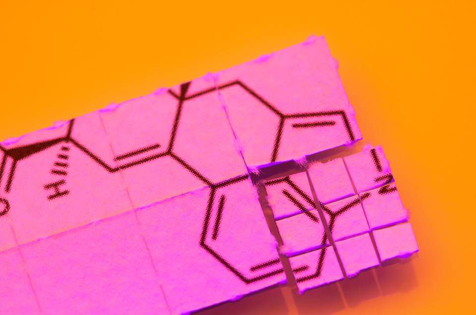 Cogumelos alucinógenos e LSD, são os novos princípios ativos da Indústria Farmacêutica