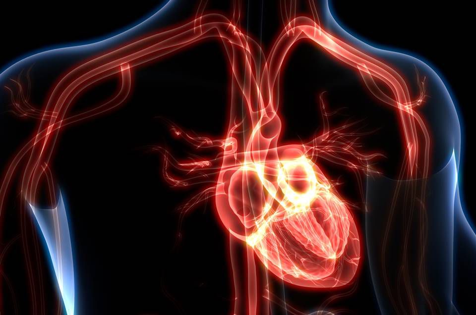 Como o Losartana pode prevenir o infarto e AVC