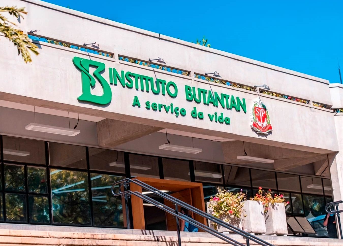 Dois farmacêuticos do Butantan estão entre os melhores cientistas do mundo em ranking internacional