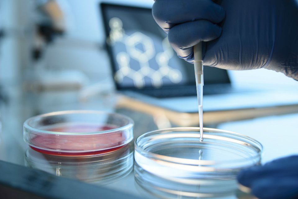 Farmacêutico Pesquisador