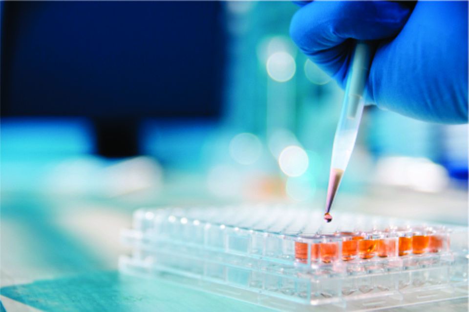 Mercado Farmacêutico