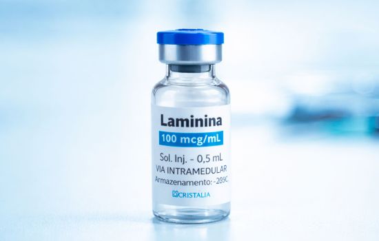 Anvisa aprova estudo clínico com polilaminina e leva pesquisa brasileira a fase regulatória decisiva