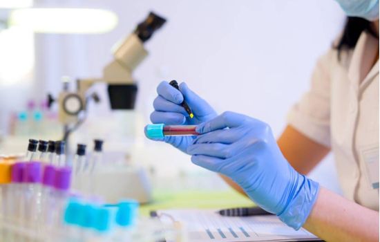 Roche e Hapvida investem R$ 46 milhões em polo de medicina diagnóstica