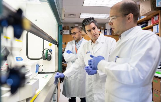 Pesquisadores testam vacina de mRNA com resultados promissores contra vários tipos de câncer