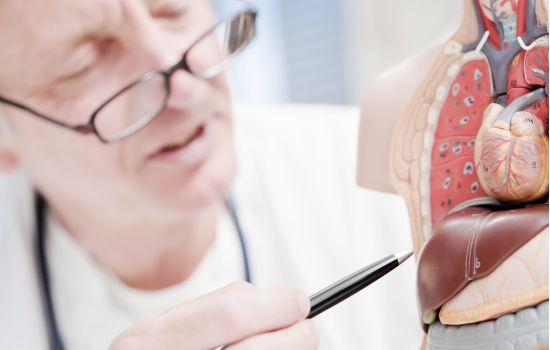 Farmacocinética Clínica e Farmacodinâmica