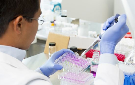 Pesquisa descobre nanopartícula que aumenta em até 10 vezes a eficiência de antibióticos